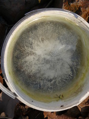 Enlarged texture of frozen water in a white bucket.