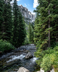 Cascade Creek, Grand Teton