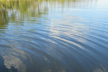 Reflection on blue river water background in Florida nature