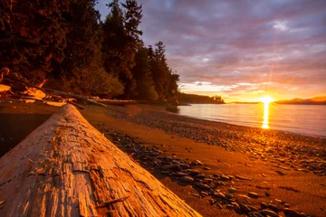Foto op Plexiglas west coast sunset at the beach © Wandering Bear