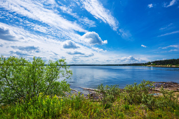 Summer landscape. Berdsk, Siberia