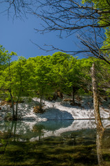 新緑と残雪の鎌池（長野県小谷村）
