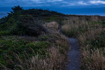Peaceful evening coast hiking trail. Hiking through coastal vegetation at sunset. Finding solitude on hiking trail.