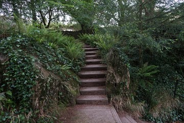 Obraz premium stairs in park