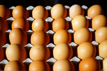 Cartons of fresh free-range brown organic eggs