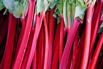 Green and red rhubarb stalks at a farmers market