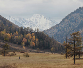 Mountain valley in Siberia, cloudy weather