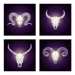 Vector set of four illustrations with hand drawn skulls wild buffalo, bull and rams on purple abstract background.