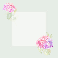 Hand-drawn hydrangea. Can be used as wedding element, floral design for cosmetics, perfume, beauty care products, greeting cards