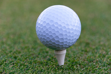 golf ball on tee pegs ready to play in the golf course