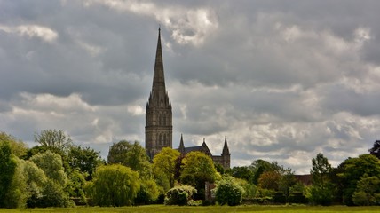 Salisbury Cathedral from the water meadow