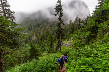 Fototapeta premium Adventurous Girl is hiking in beautiful green woods in the mountains during a cloudy summer morning. Taken on Crown Mountain, North Vancouver, BC, Canada.