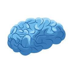 human brain icon, flat design