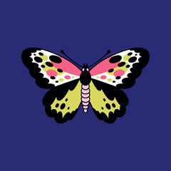 Основные RGB