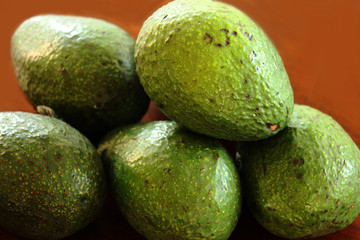 avocado on green background