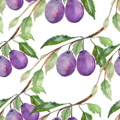 Picture of a plum branch.Watercolor sketch on a white background.Seamless Pattern.
