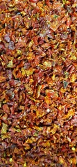 dehydrated paprika