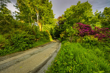 Beautiful scenic landscape of amazing Scotland nature and mountain trail road.
