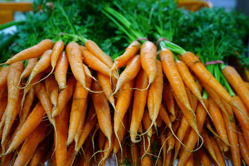 Fresh carrots bunches for sale at a farmers market