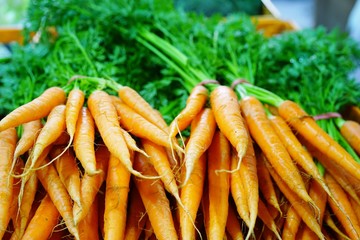 Fresh carrots bunches for sale at a farmers market