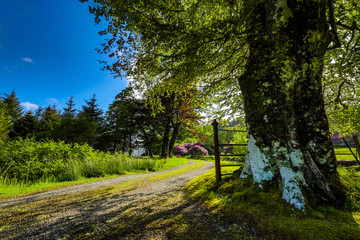 Beautiful scenic landscape of amazing Scotland nature and mountain trail road.