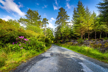 Fototapeta na wymiar Beautiful scenic landscape of amazing Scotland nature and mountain trail road.