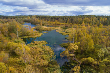 Above the Izvarka River in golden autumn. Izvara. Leningrad region, Russia