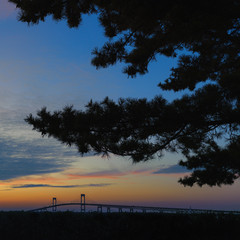 Orange sunset blue hour Claiborne Pell Newport Bridge, Newport Rhode Island with pine tree in silhouette travel scenic with empty blue sky copy space. Square version. 