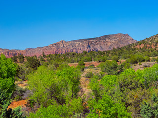 Fototapeta na wymiar Green springtime foliage in the southwestern desert frame Red Cliffs, Sedona Arizona, United States of America, in the spring with a clear blue sky. Sedona is widely viewed as a spiritual destination.