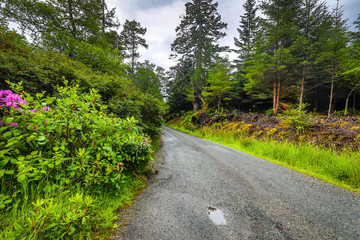 Beautiful scenic landscape of amazing Scotland nature and mountain trail road.