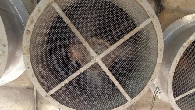 Cooling fan of the heat exchanger unit