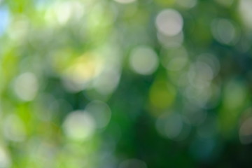 Obraz premium abstract background with bokeh