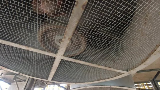 Cooling fan of the heat exchanger unit