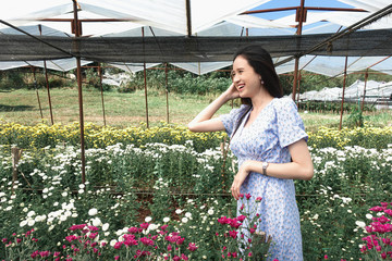 Portrait young beautiful asian woman in blue dress relaxing at chrysanthemum flower garden