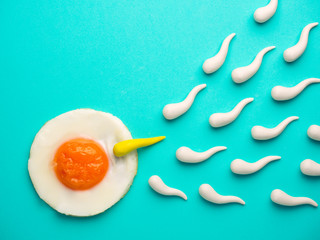 Sperm competition go to fried egg