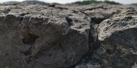Gestein