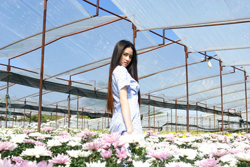 Portrait young beautiful asian woman in blue dress relaxing at chrysanthemum flower garden