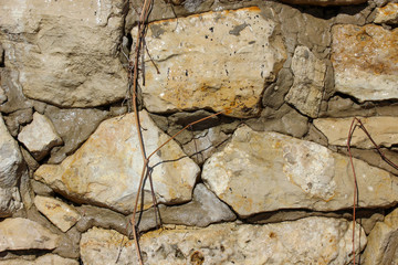 Wet wall made of natural rocks covered with bare bines of climbing plants