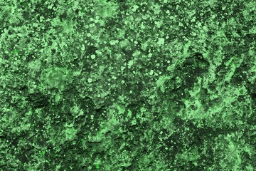 Fototapeta premium green natural aged rock detailed texture - wonderful abstract photo background