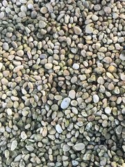 Pebbles are on the beach.
