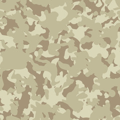 Fototapeta premium Camouflage parrten