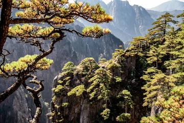 Wall murals Huangshan UNESCO World Heritage Site Natural beautiful landscape of Huangshan mountain scenery ( Yellow mountain ) in Anhui CHINA, It is a best of China major tourist destination.