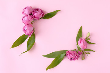 Colorful rose buds and green leaves on pink background.