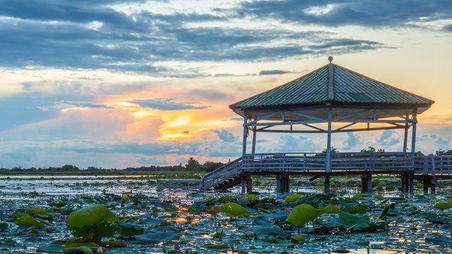 Evening time or sunset at the Pavilion on lake or pond or swamp of Bueng See Fai, Phichit, Thailand.
