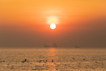 Sunset or evening time with golden sky at sea or ocean with cargo ship and seagull bird flying at Bang poo, Samutprakan, Thailand.
