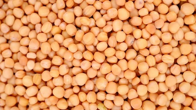 top view herb medicine BaiJieZi or Semen Brassicae or White Mustard Seed rotate and pause