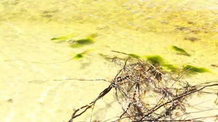 Runoff Photos Royalty Free Images Graphics Vectors Videos