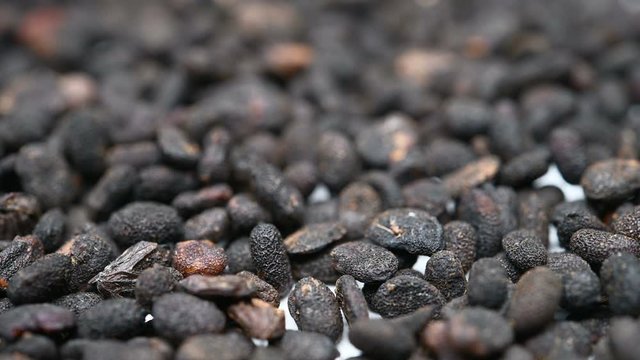 side view herb medicine BuGuZhi or Psoraleae Fructus or Malaytea Scurfpea Fruit rotate and pause