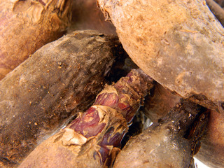 Obraz premium red beetroot isolated on white background