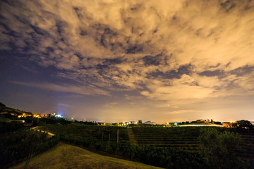 Fototapeta na wymiar Evening in the vineyard of Rosazzo during a moon eclipse